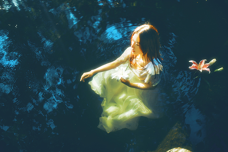 野百合也有春天