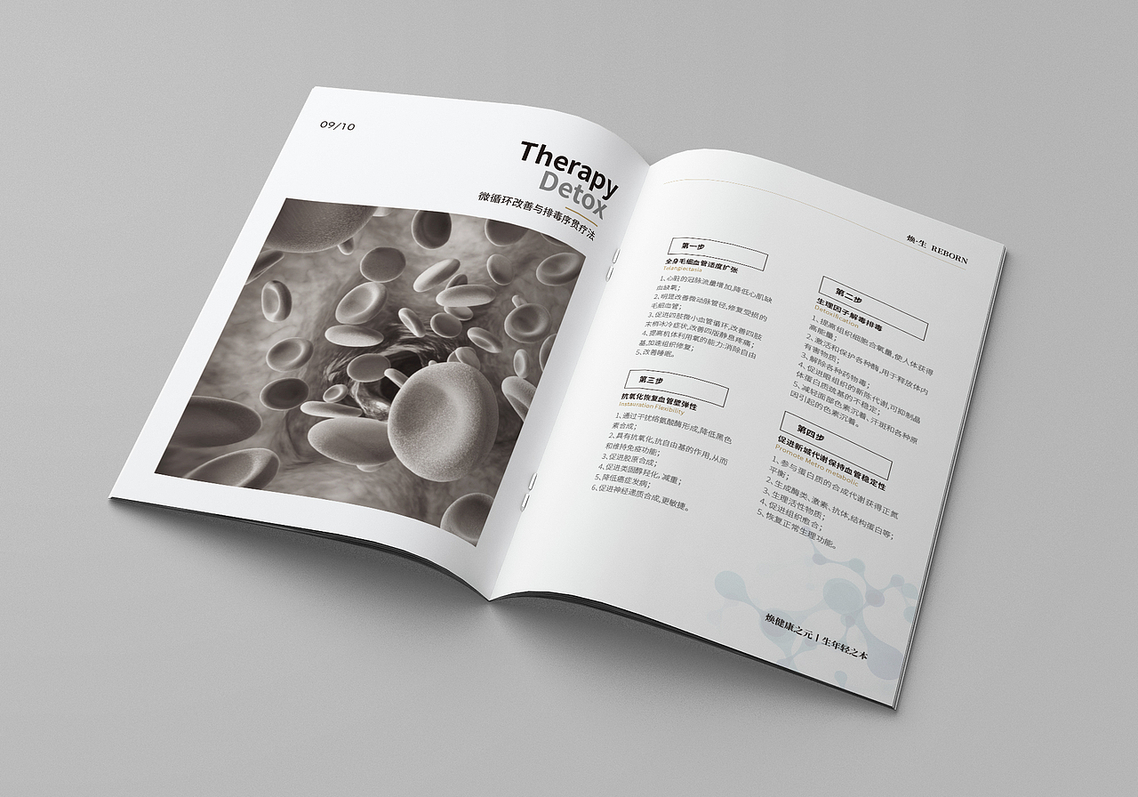 焕生——微循环