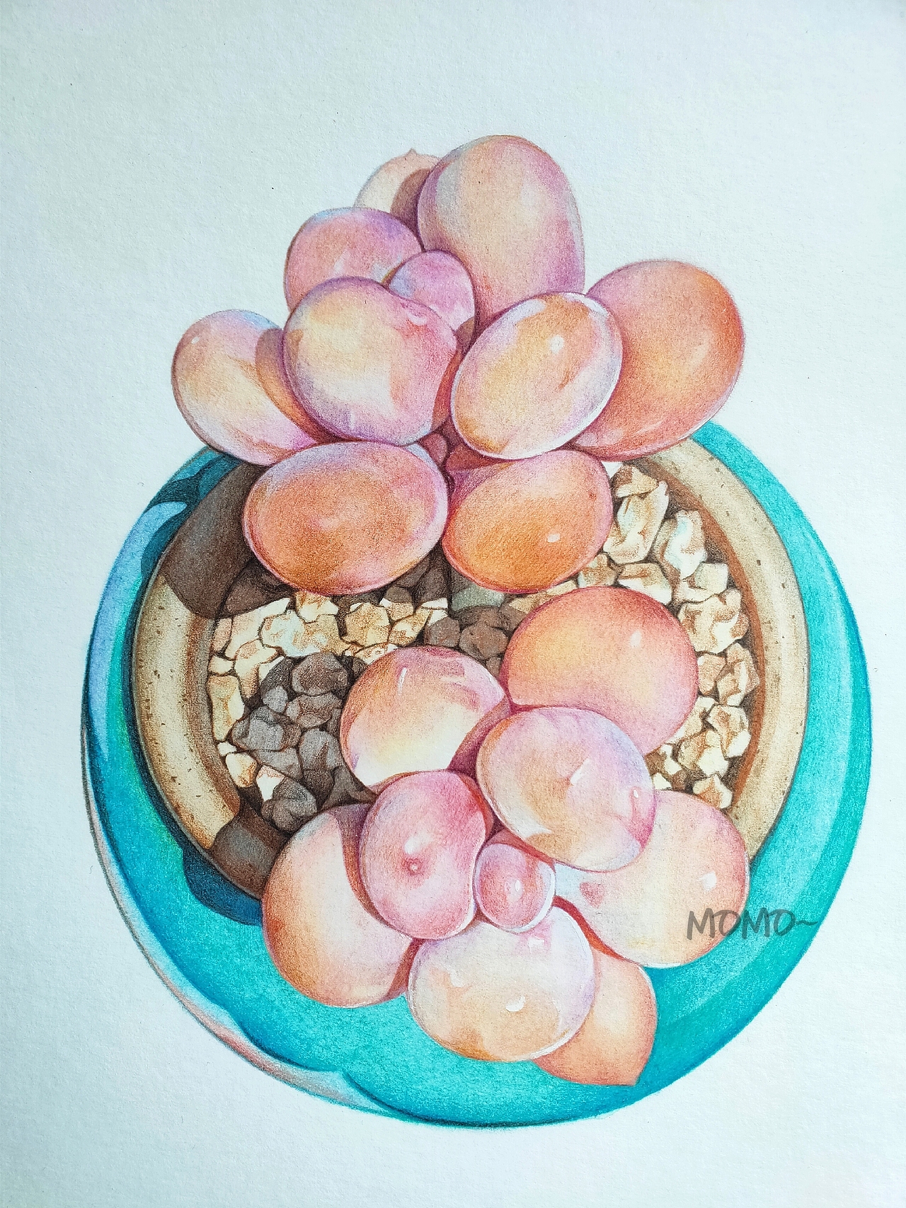 momo的彩铅世界（图ZMjAxNTM3NTI0） - 艺术插画 - 站酷设计师末末的彩铅世界原创素材 - 站酷ZCOOL