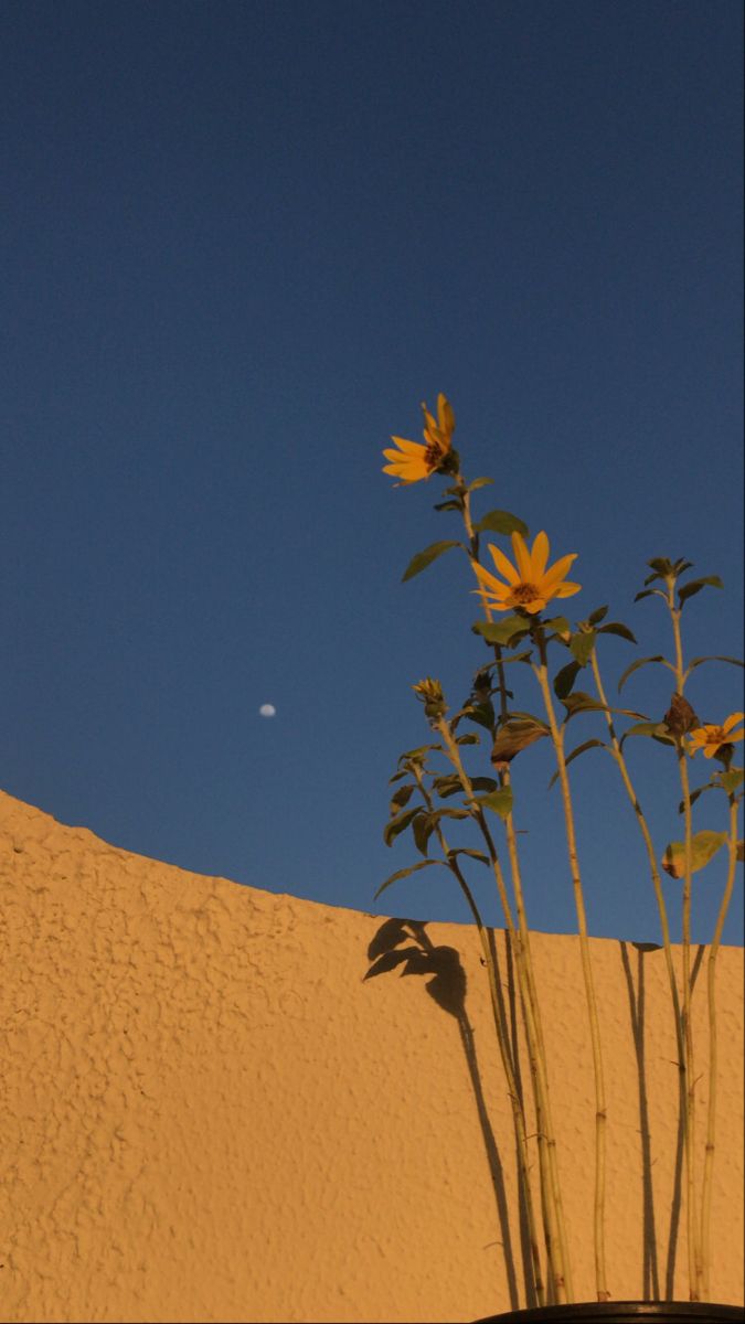 糖栗子L的个人主页（背景预览） - 主页背景设置 - 站酷设计师糖栗子L原创素材 - 站酷ZCOOL