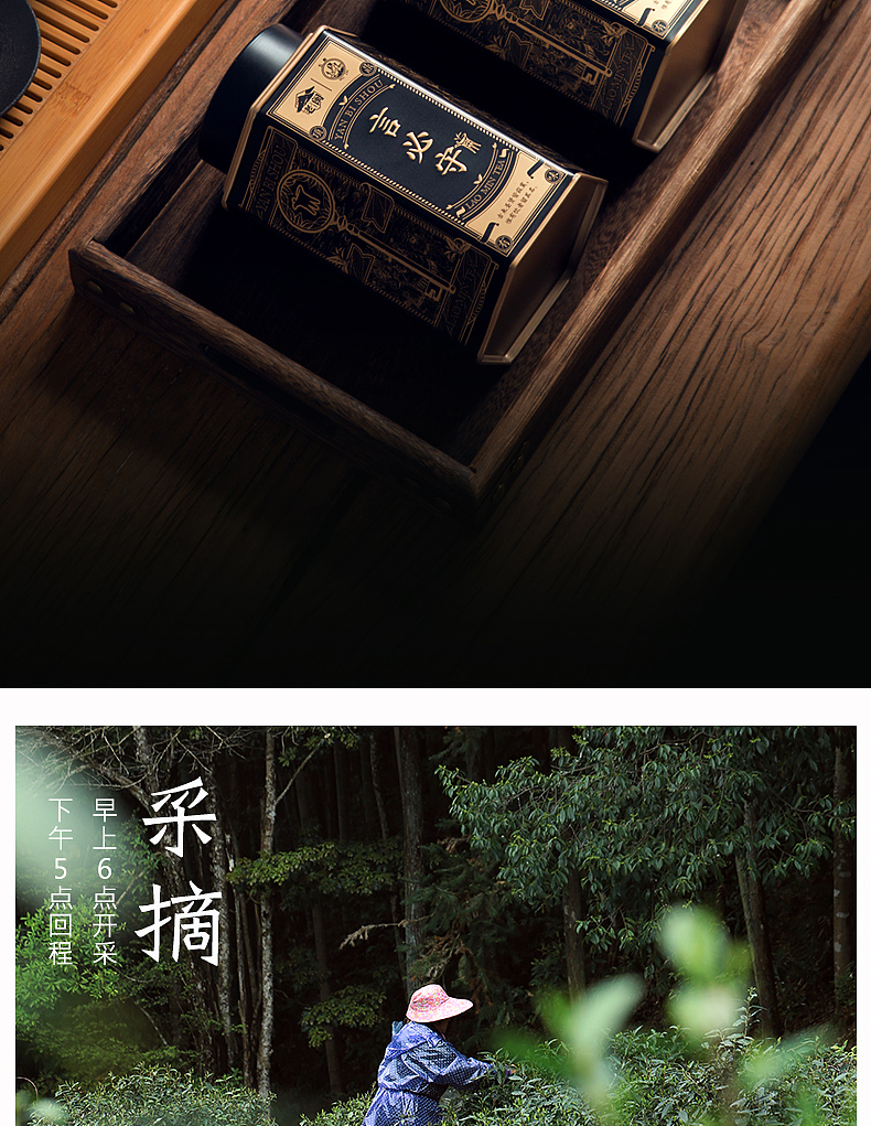 言必守，红茶之作