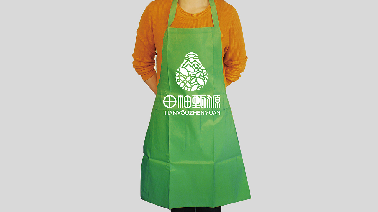 田柚甄源logo设计提案-飞机稿（图ZMTc1MTY1NzY4） - Logo - 站酷设计师黑璞设计原创素材 - 站酷ZCOOL