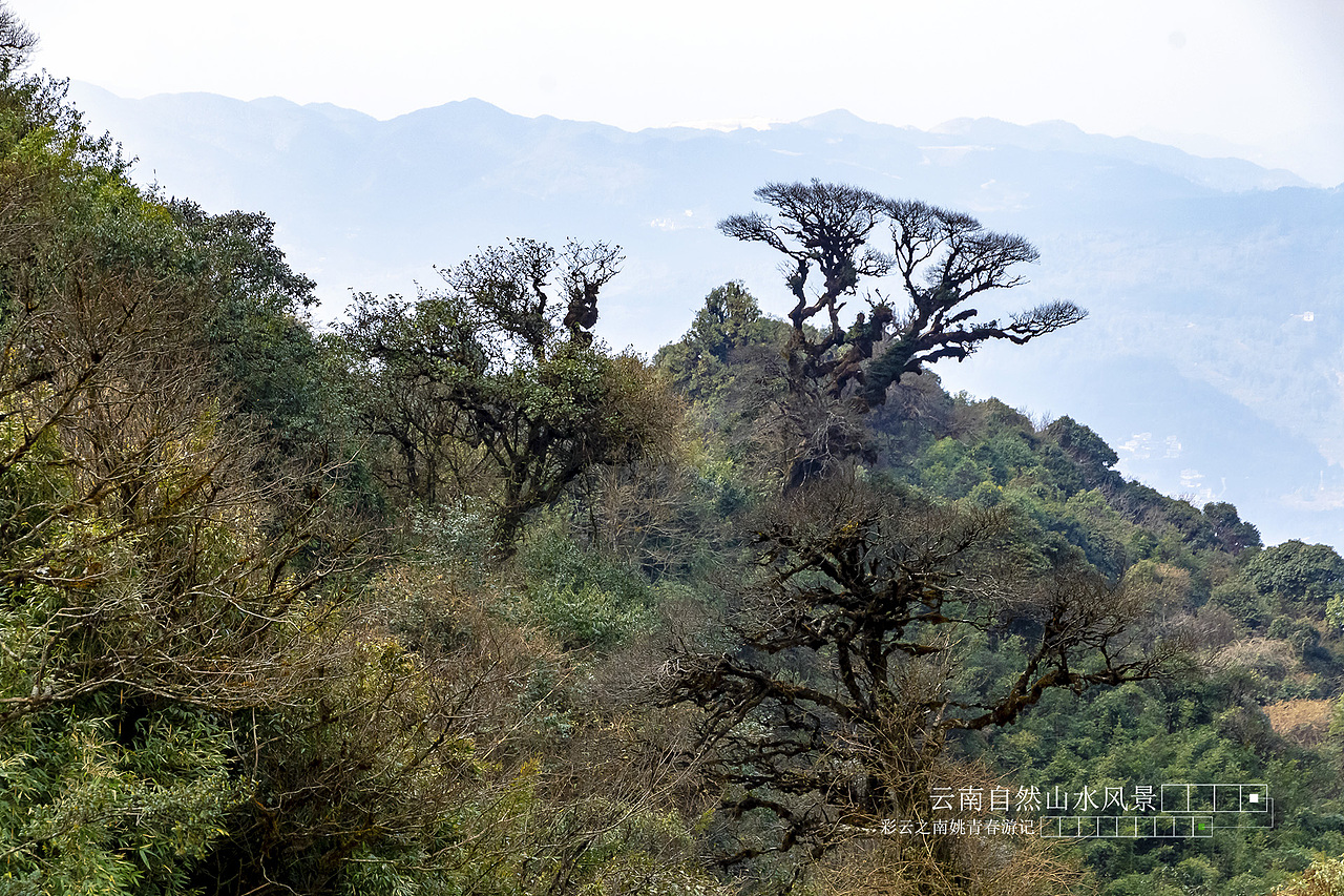 云南省临沧市凤庆县大河龙潭山姚青春自然风光山水风景游记36
