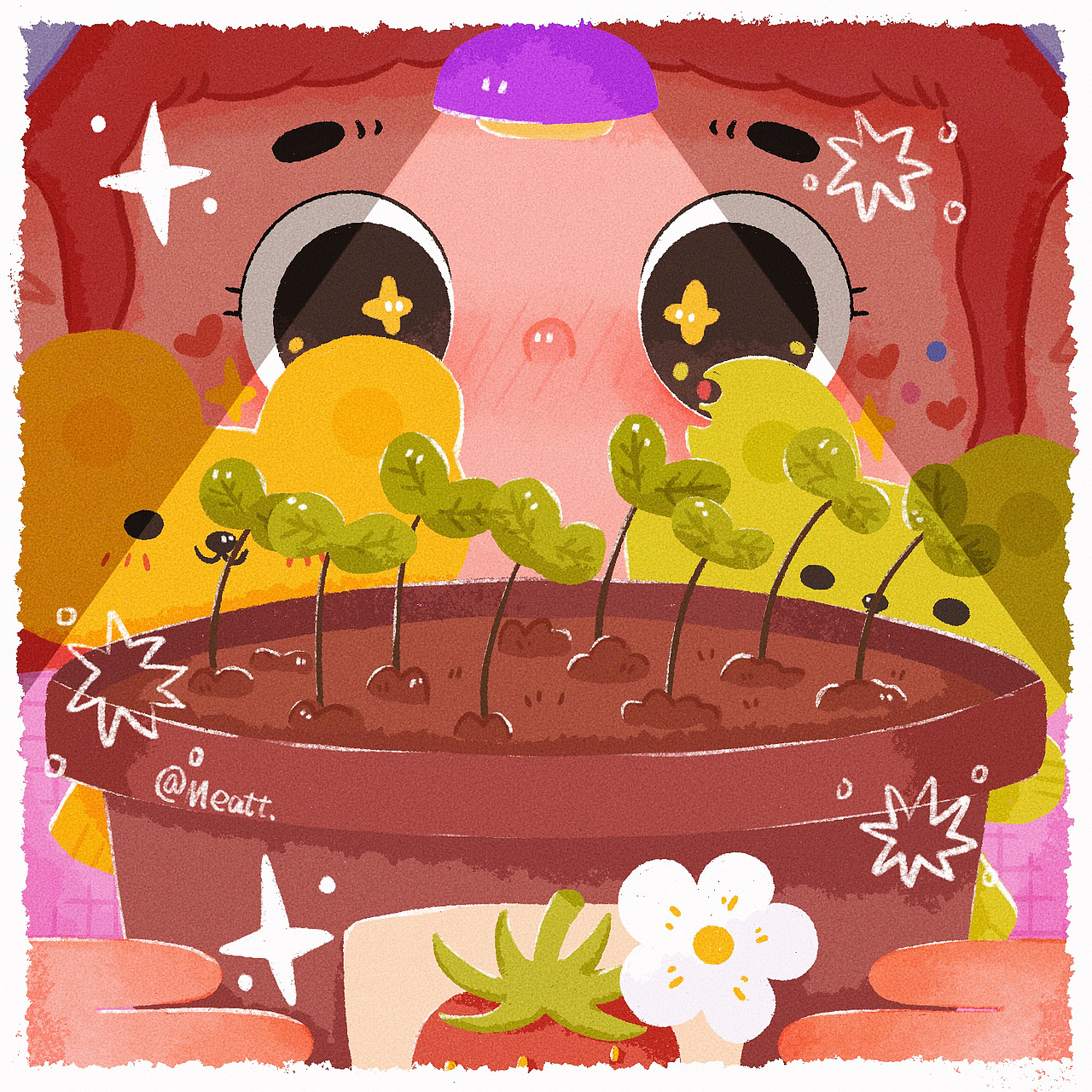 在家里都能干什么呢?