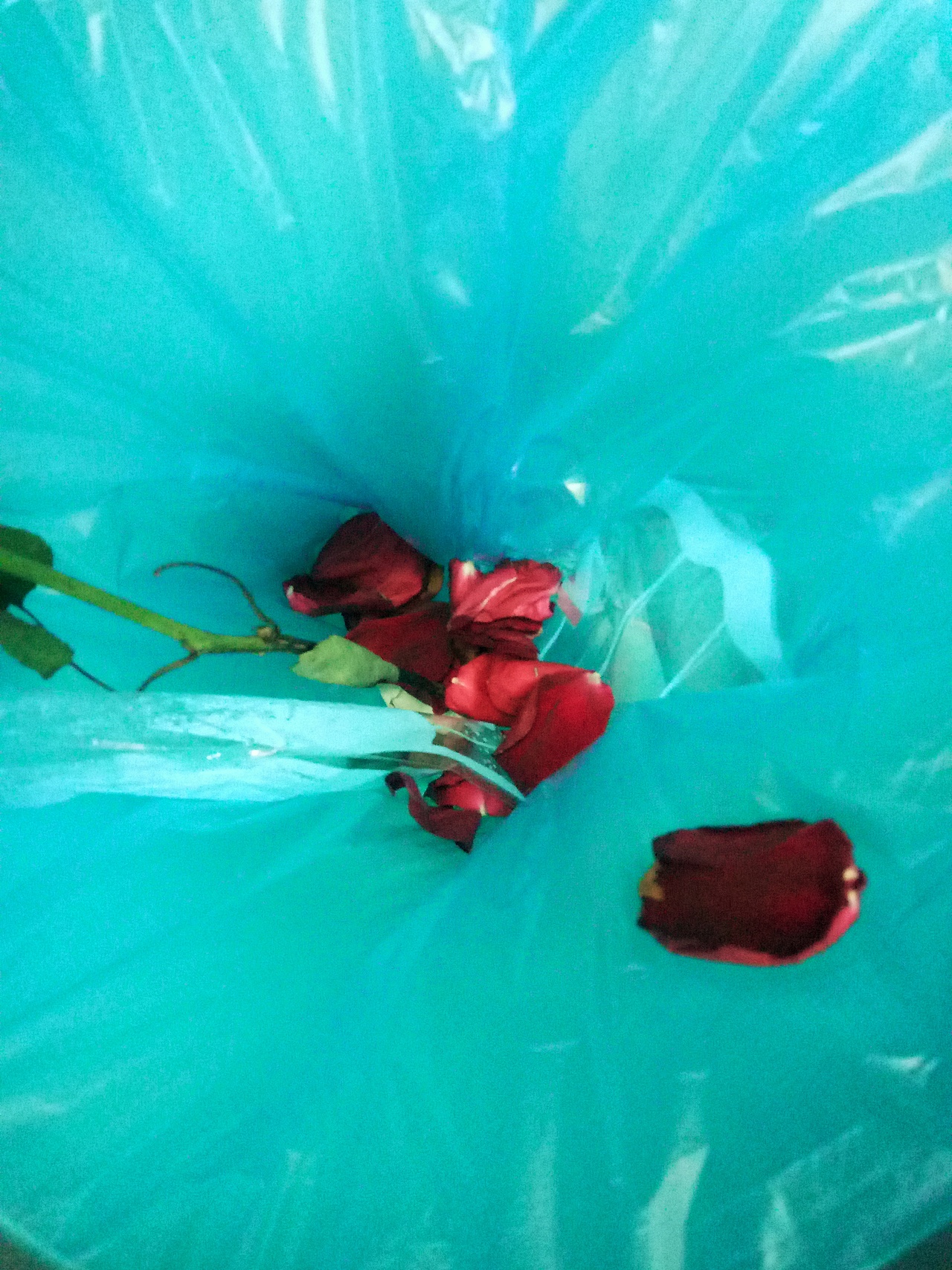 瞎拍瞎排的小美好