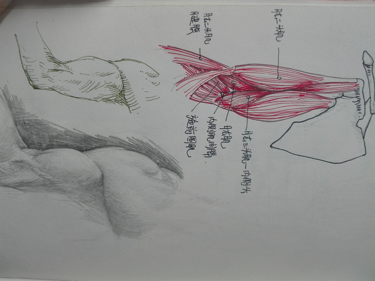 2016:小本本上的。