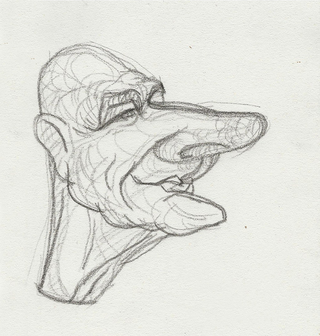 肖像漫画练习夸张