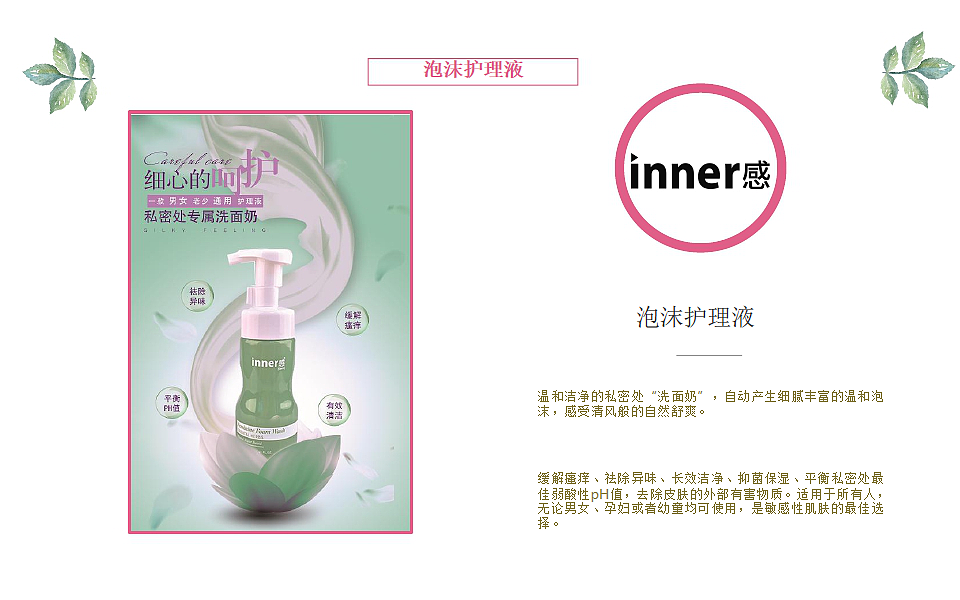 产品介绍PPT
