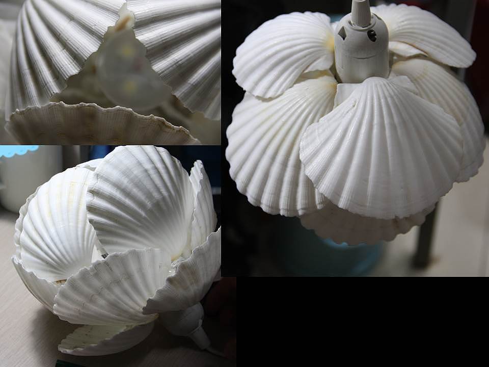 跟我来做一个贝壳花灯