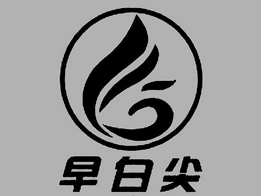 宜宾早白尖包装再设计