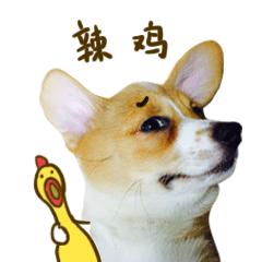 冬菇表情第二弹