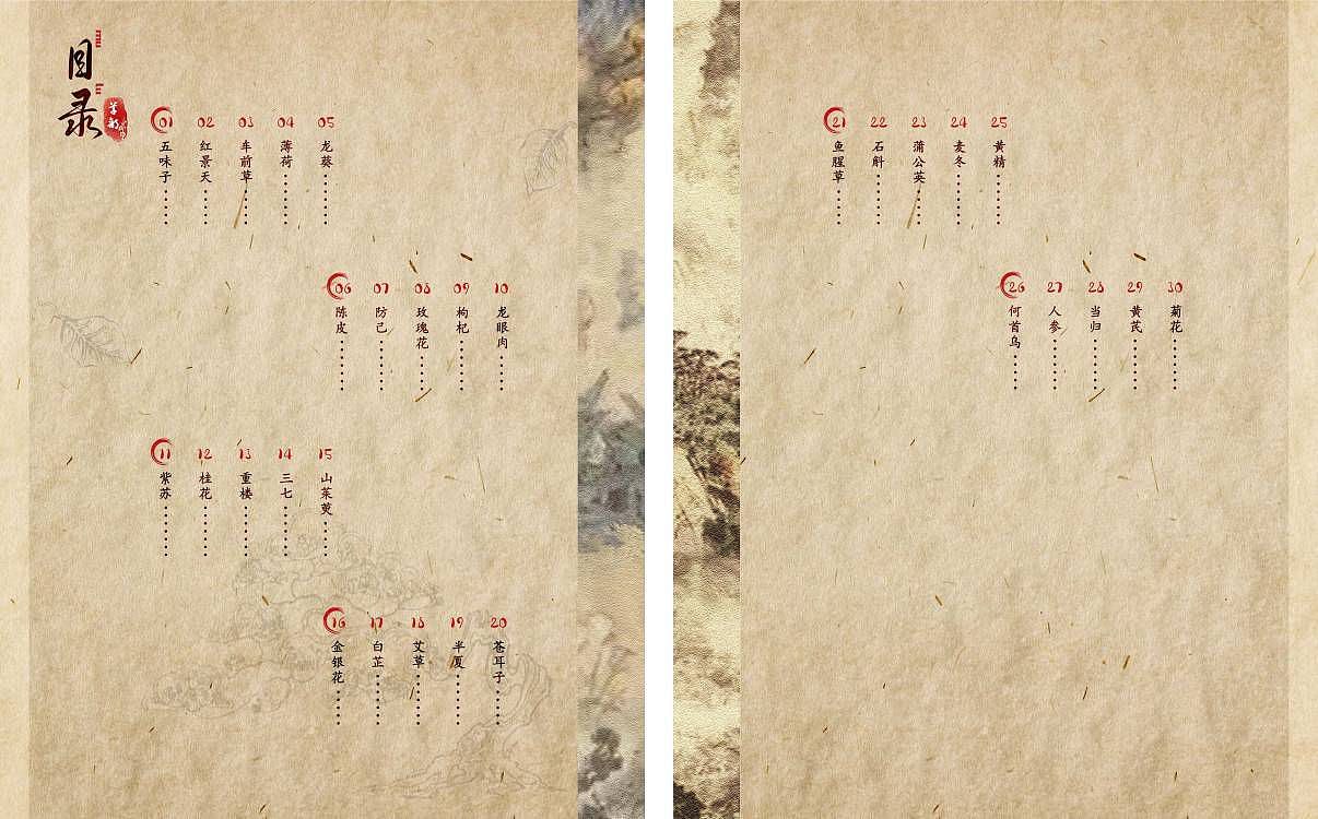 《本草纲目》龙鳞装书籍装帧设计