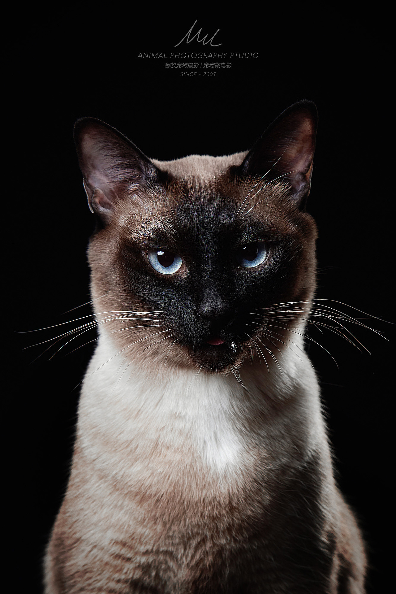 超级黑black texture