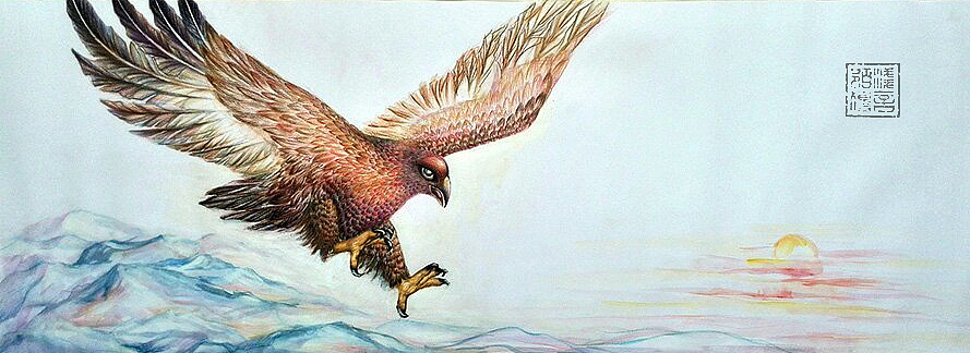 原创作品:《鹰》彩铅练习