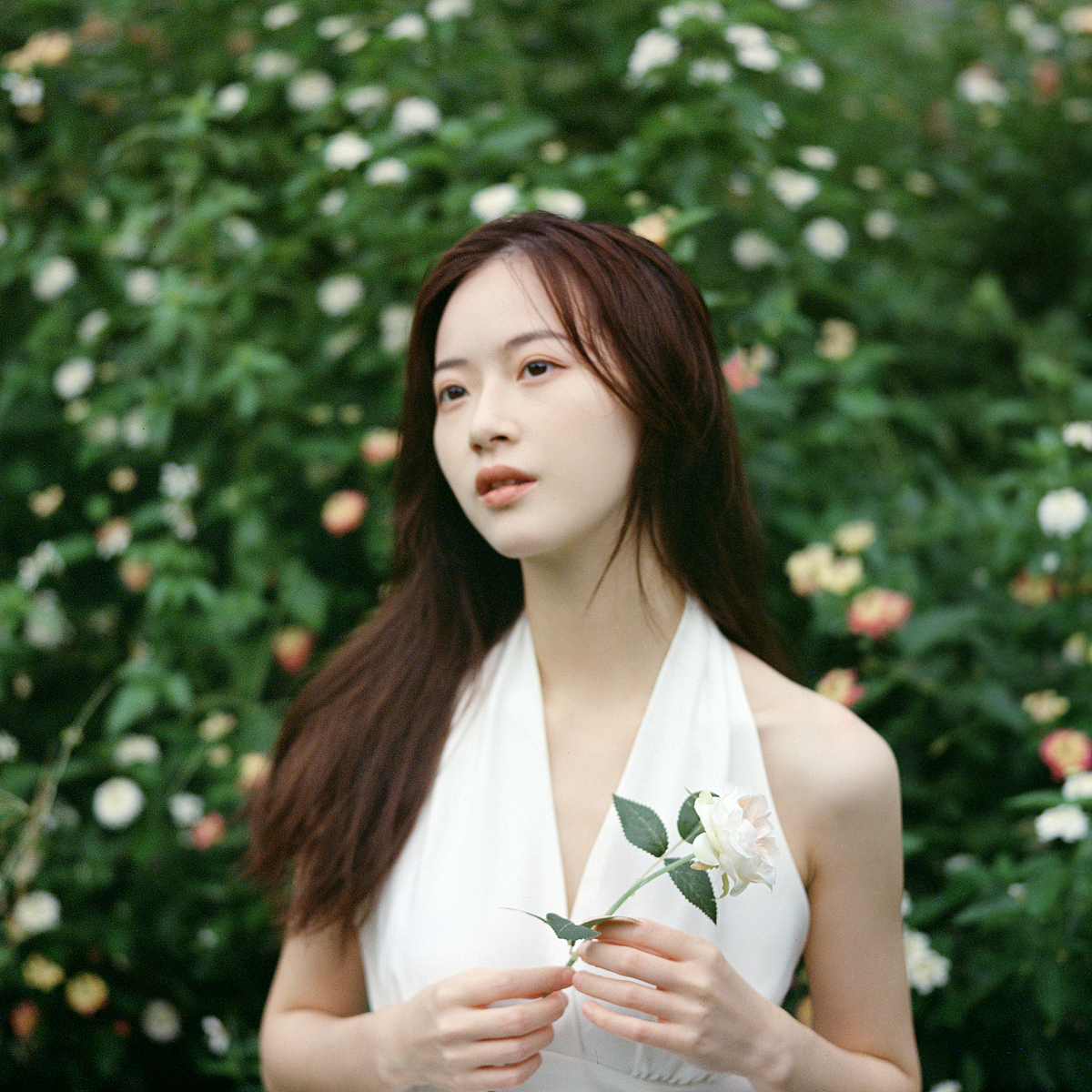 漫浪（图ZMjYyMDAyODYw） - 人像摄影 - 站酷设计师SeulHuangRun原创素材 - 站酷ZCOOL