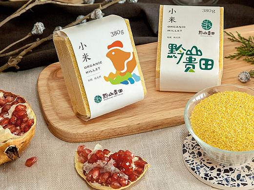 黔山贵田品牌视觉