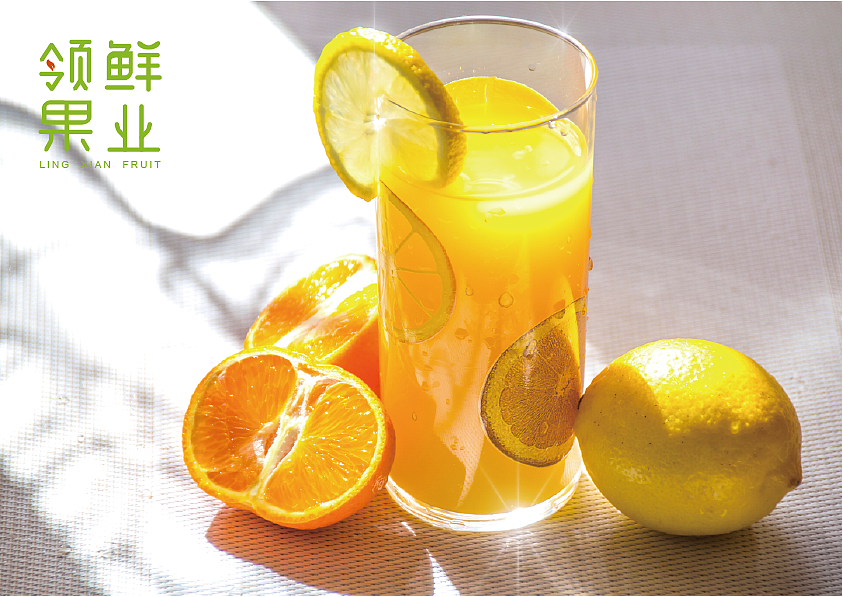 领先果业（图ZMjQ3NDM4ODAw） - Logo - 站酷设计师lNXXl原创素材 - 站酷ZCOOL