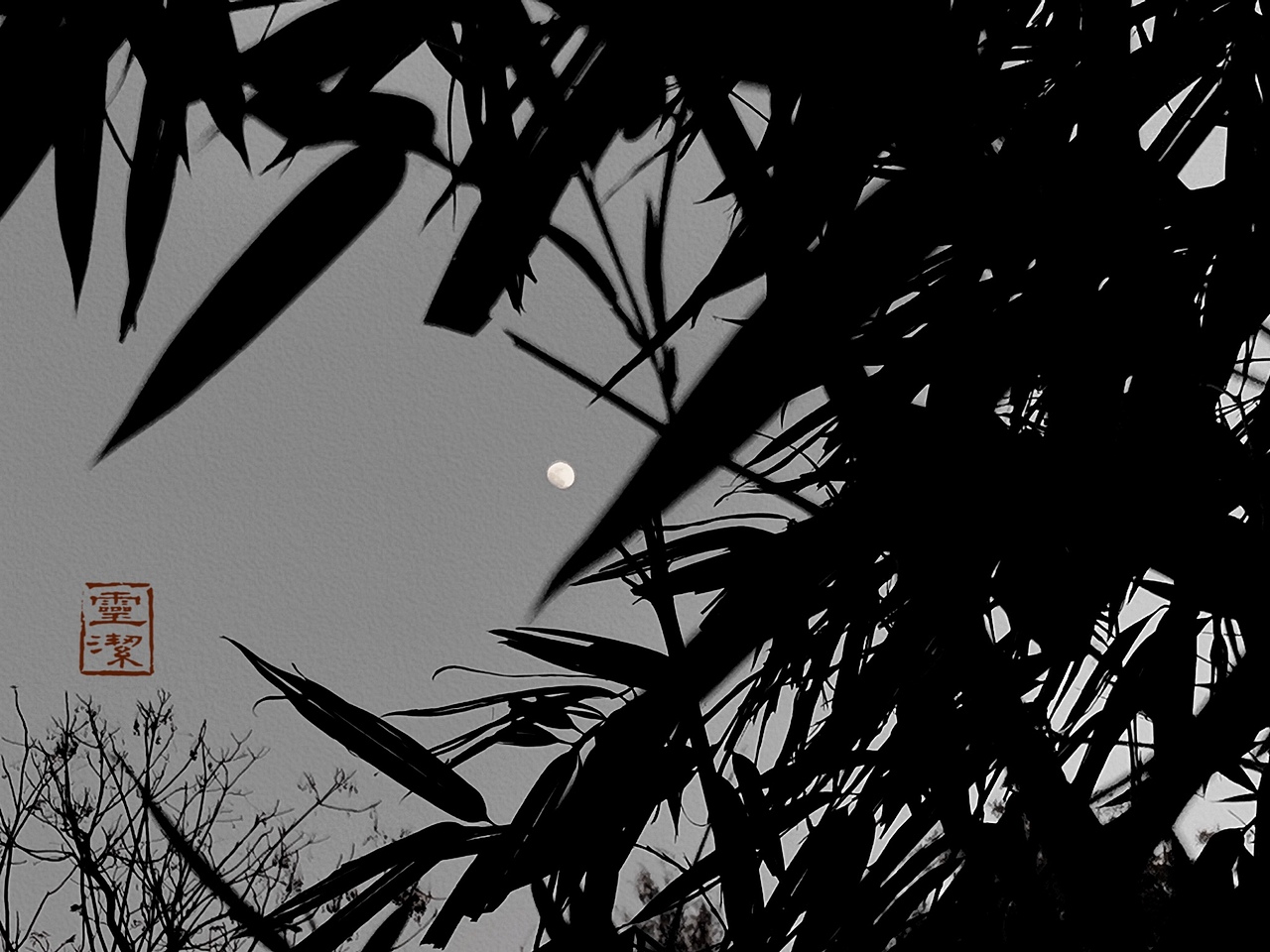 拍的一些比较有国画味道的摄影作品~