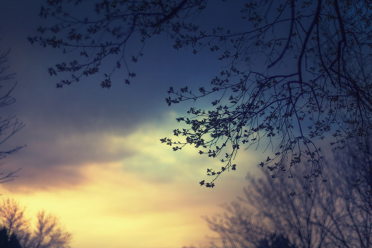 春誌2021（图ZMjU2NDk1MTU2） - 风光摄影 - 站酷设计师amhx原创素材 - 站酷ZCOOL