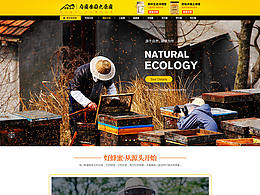 蜂蜜店铺页面设计