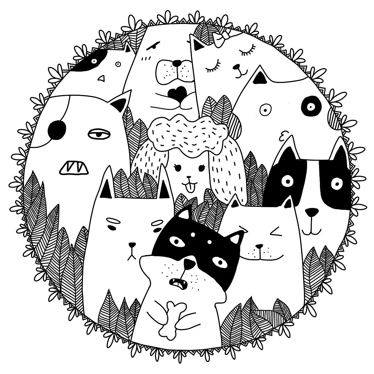 黑白画