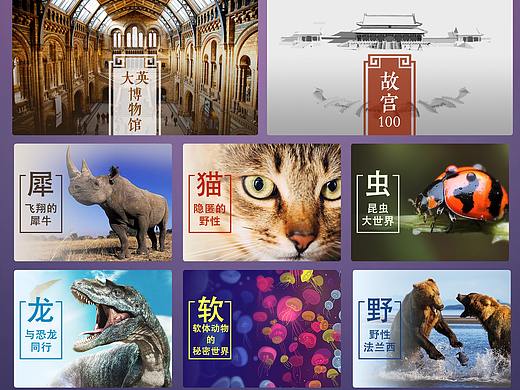 视觉banner合辑（个人主页-ZNDE0NzU3MTY=） - APP界面 - 站酷设计师水南嫣原创素材 - 站酷ZCOOL