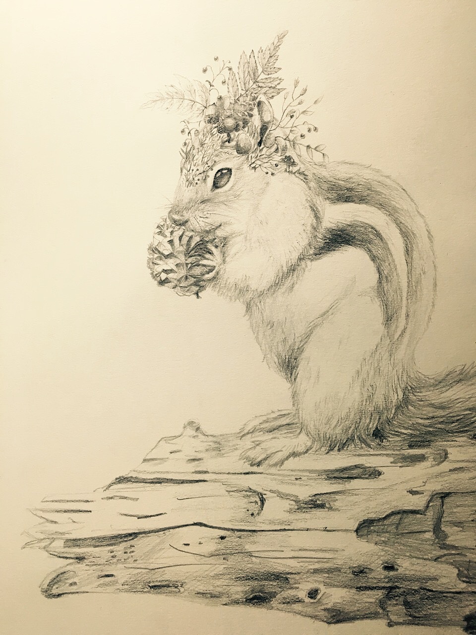 一套动物素描_插画师古代朱-站酷zcool