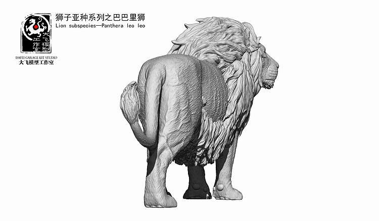 逝去的的王者——巴巴里狮。(图ZNjg4NTM4MTI=) - 手办/模玩 - 站酷设计师画画的大飞原创素材 - 站酷ZCOOL