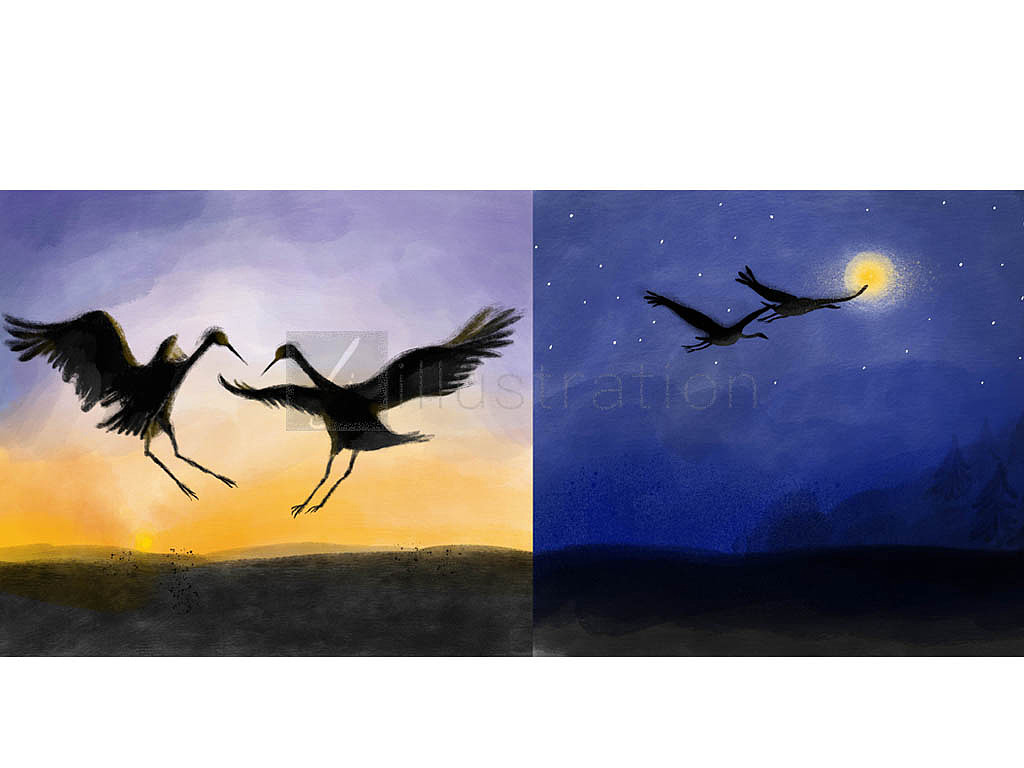 2019年已经发表的儿童插画（图ZMTY3NjIwNjE2） - 儿童插画 - 站酷设计师LJ柴柴儿童插画原创素材 - 站酷ZCOOL