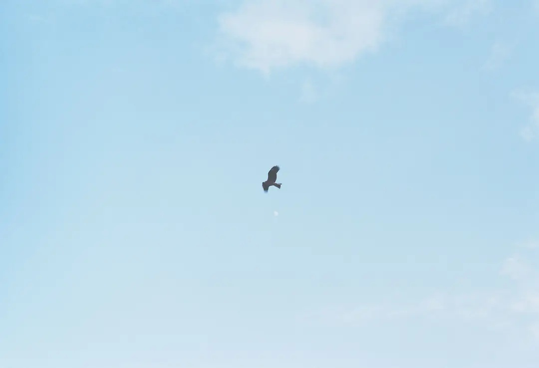 soracIcI的個(gè)人主頁(yè)（背景預(yù)覽） - 主頁(yè)背景設(shè)置 - 站酷設(shè)計(jì)師soracIcI原創(chuàng)素材 - 站酷ZCOOL