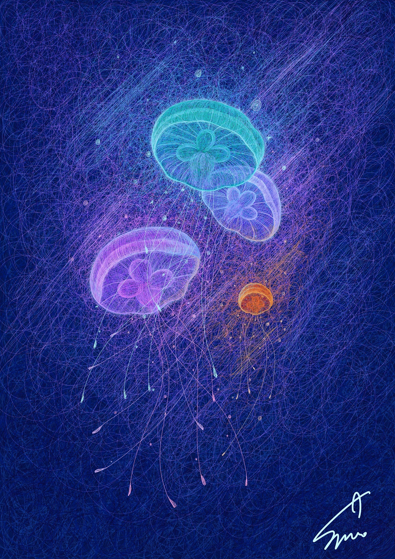 线圈插画-习作-1