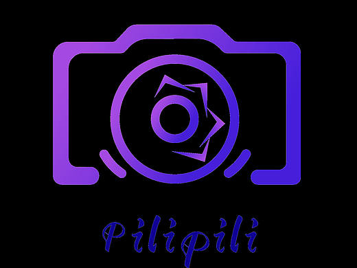 pilipili LOGO