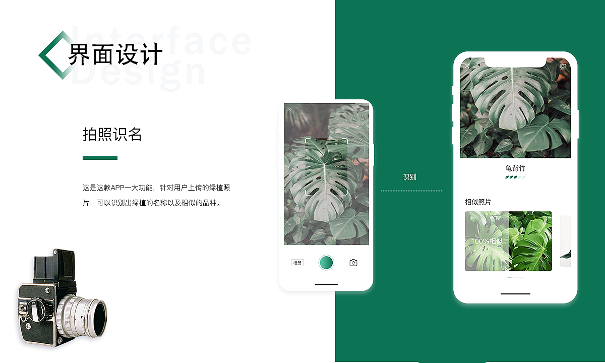 绿植plants（图ZMTU1NzU4OTky） - APP界面 - 站酷设计师憨皮原创素材 - 站酷ZCOOL