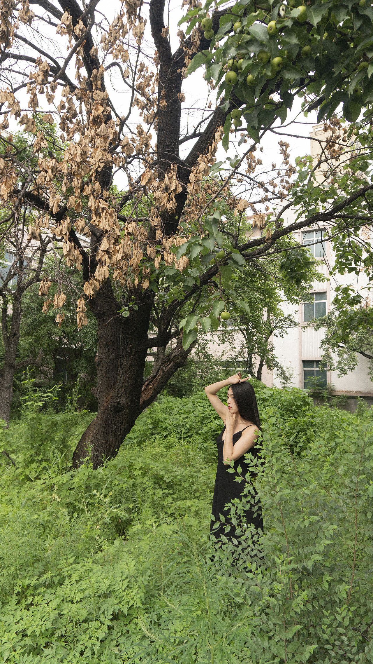 亲密爱人-肚皮舞MV-出境-关爽-视频-谷小松