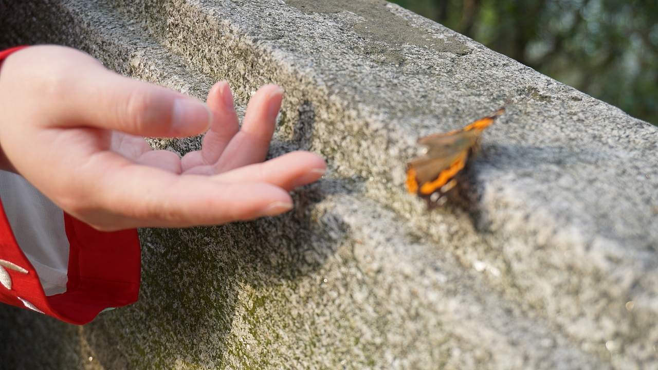 东湖磨山（图ZMTUzMTM5NTQw） - 人像摄影 - 站酷设计师Bamboo123原创素材 - 站酷ZCOOL