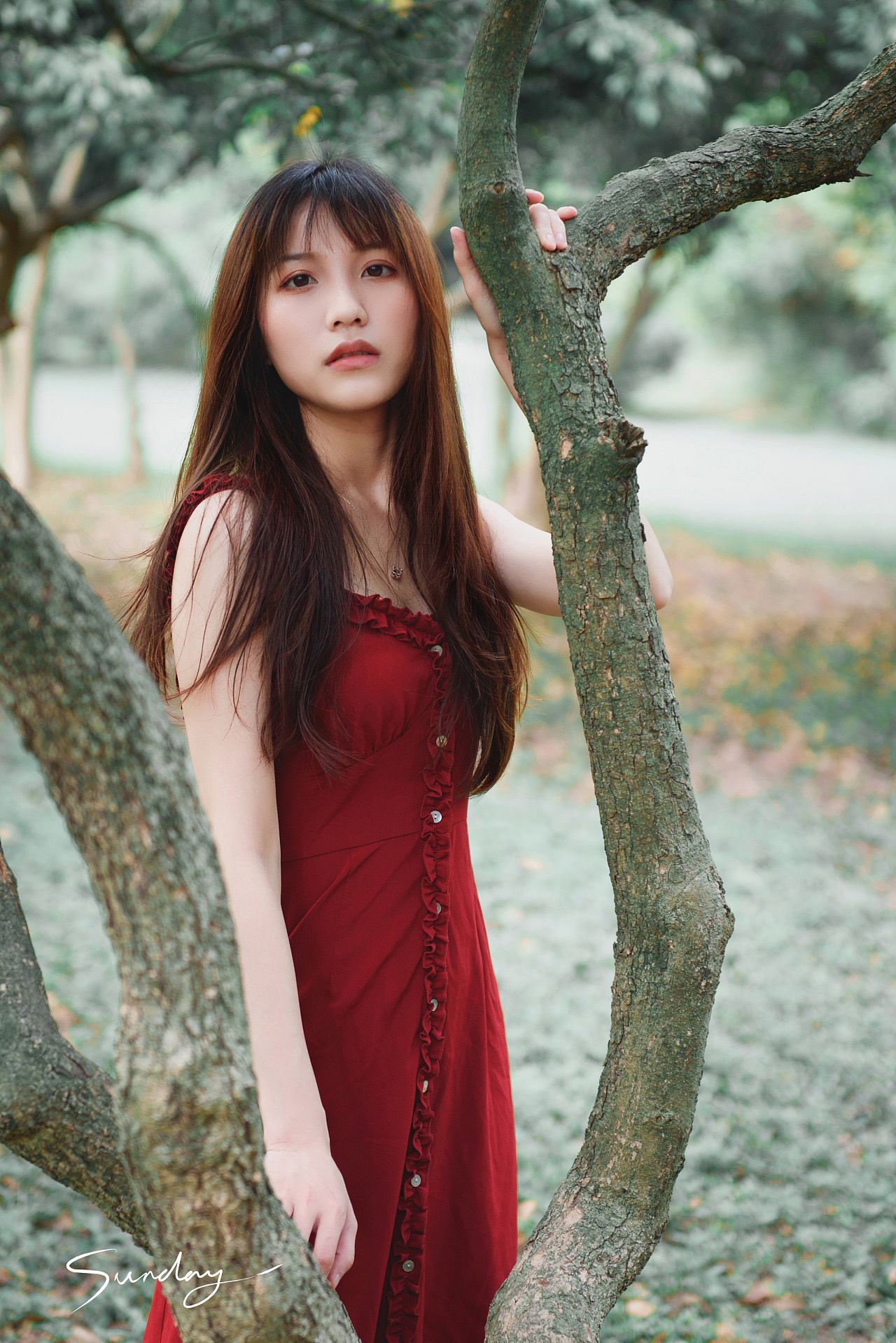 森林中的红裙子