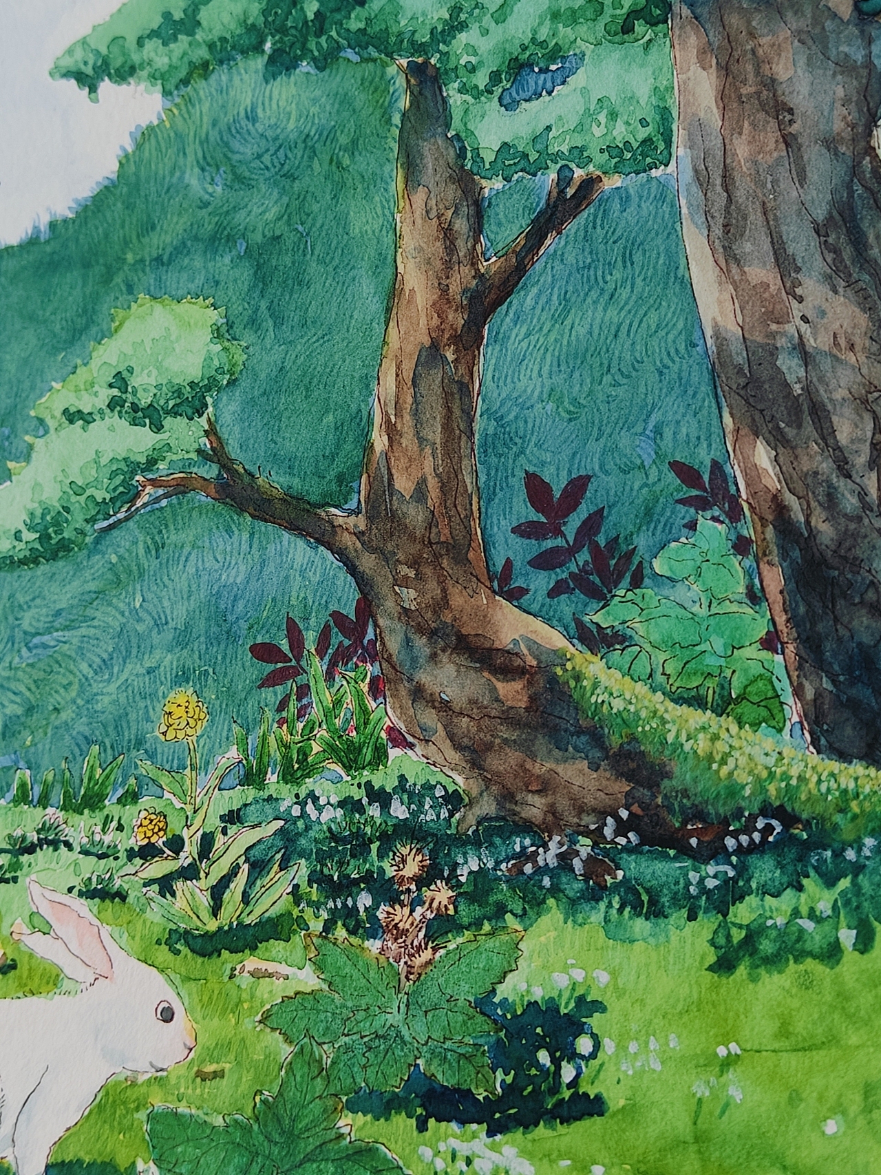 植物科普绘本｜苍耳（图ZMzc2MTgzMzQ0） - 儿童插画 - 站酷设计师大吉2019原创素材 - 站酷ZCOOL