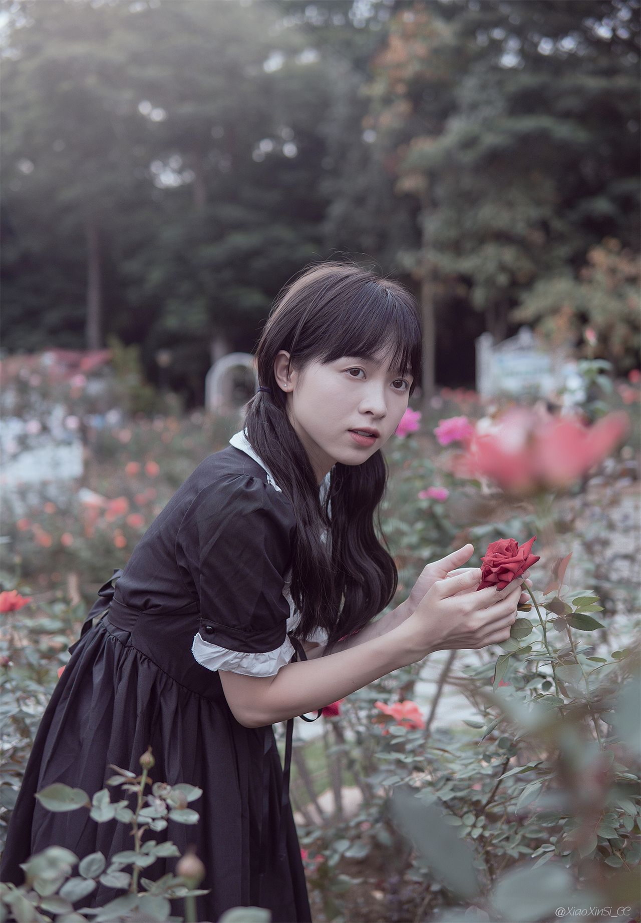 坠入莫奈花园的公主