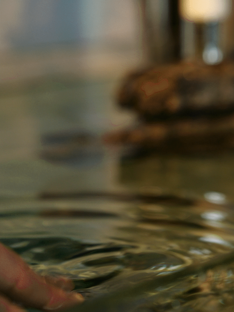 快门先生 | 新美妆视觉II