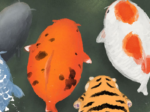 胖锦鲤壁纸壁纸壁纸来了～