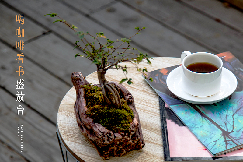 ●电商产品摄影●