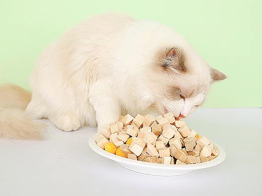 宠物猫粮冻干详情页图猫犬冻干零食详情制作