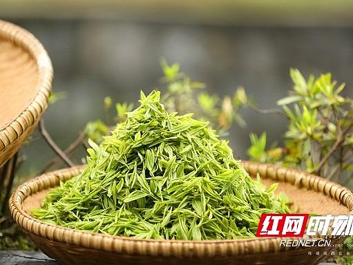一两黄金一两茶丨保靖黄金茶10万元奖金征集宣传语及包装设计