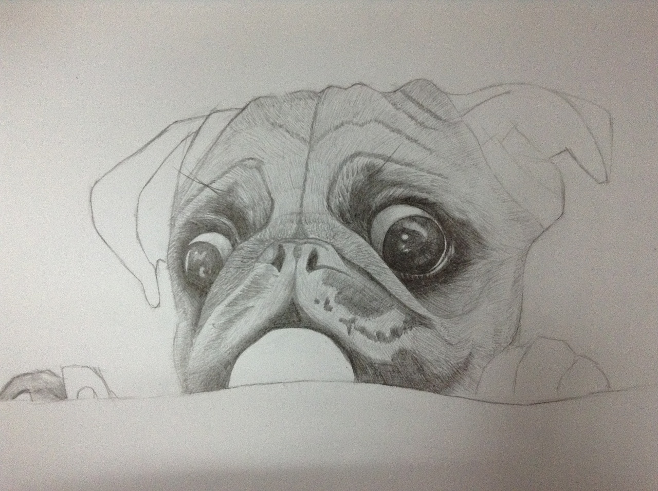 小狗铅笔画画图片图片