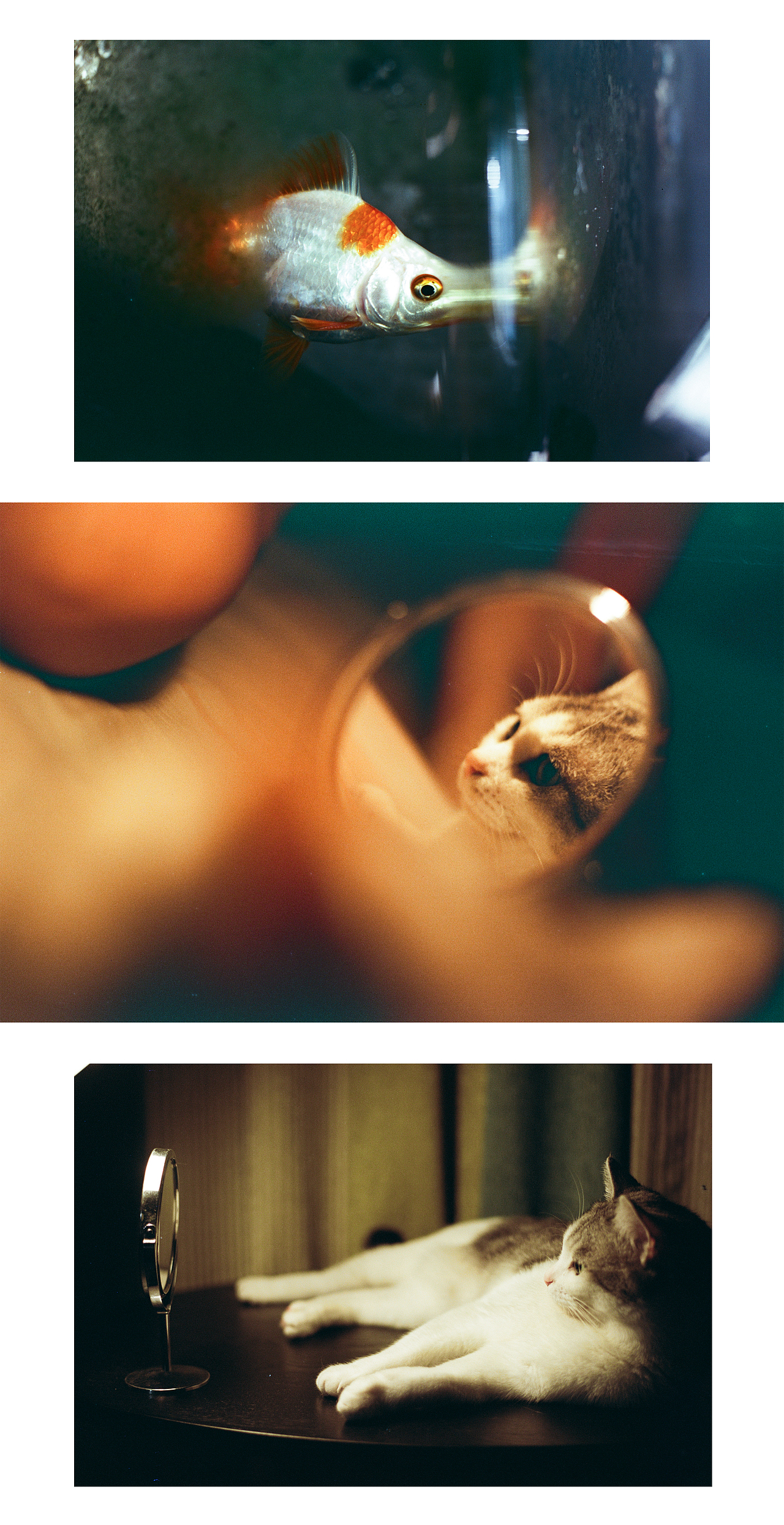 橙黄时代（图ZMjIyNTM1MTE2） - 人像摄影 - 站酷设计师天然产品原创素材 - 站酷ZCOOL