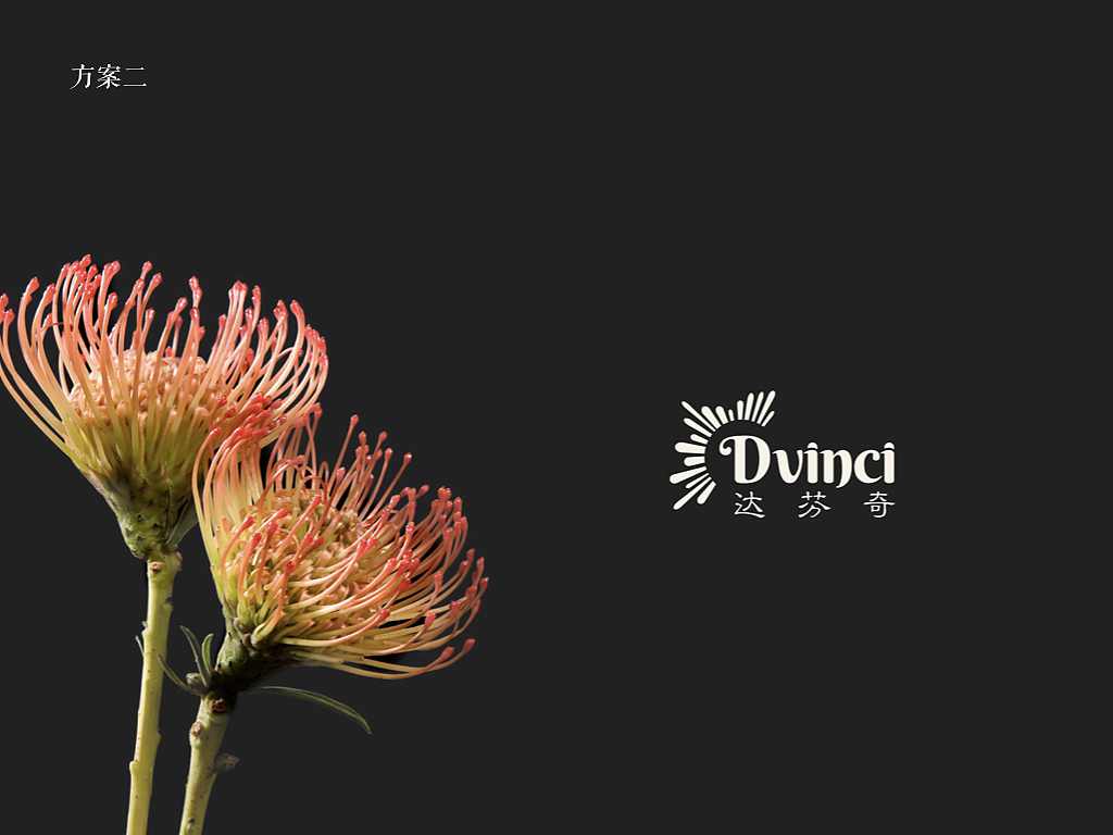 达芬奇花店品牌Logo平面设计（图ZMTc0MTcwMzY0） - Logo - 站酷设计师jemmajemmamin原创素材 - 站酷ZCOOL