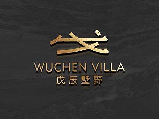 戊辰墅野民宿品牌设计 vi设计 酒店vi