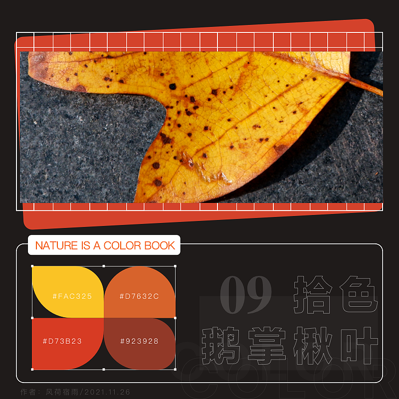 色彩（鹅掌楸）（图ZMjgyNzQ5ODY0） - 其他 - 站酷设计师风荷宿雨原创素材 - 站酷ZCOOL