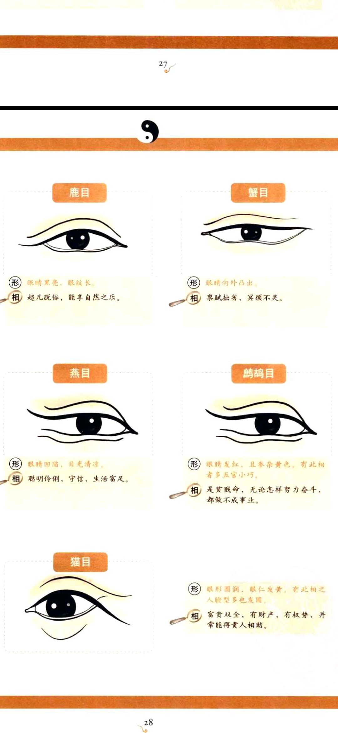 麻衣神相中眼型