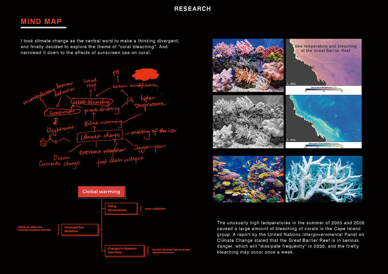 珊瑚白化-Coral bleaching